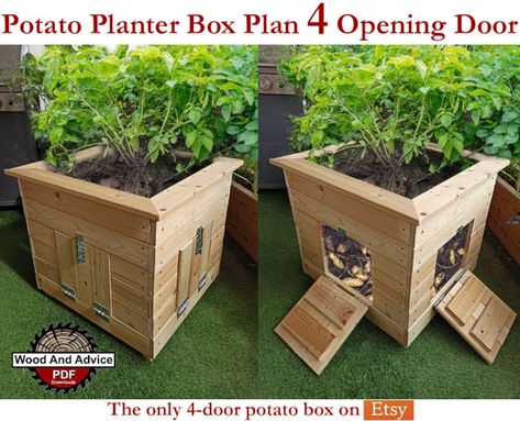 Organic Potato Planter Plan/potato Planter Box Plan/homestead Planter Plan/planter Plan/planter Box Plan/raised Planter Plan/wood Plante - Etsy Hong Kong Outdoor Table Plans, Garden Box Plans, Potato Planter, Potato Box, Potato Planters, Planter Box Plans, Picnic Table Plans, Wood Planter, Garden Stand