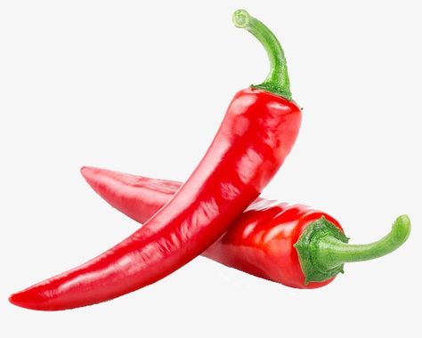 Chili Pepper Clipart, Cayenne Pepper Powder, Capsicum Annuum, Red Chili Peppers, Hot Peppers, Hottest Chili Pepper, Pepper Powder, Pepper Seeds, Chilli Pepper