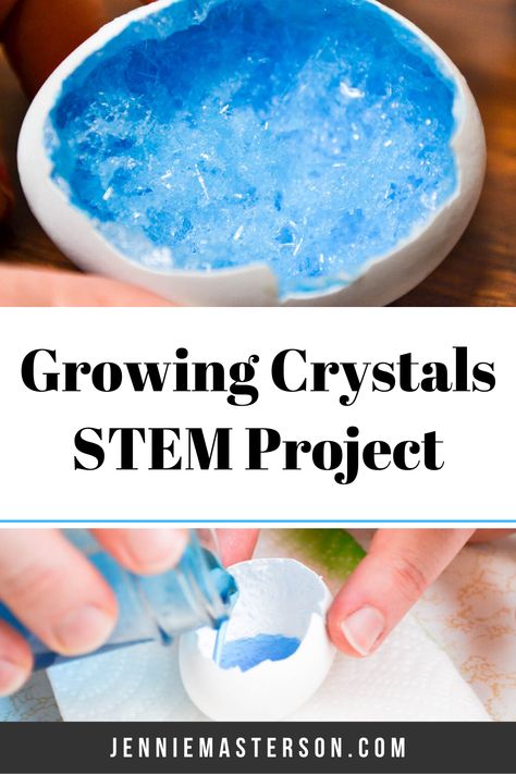 Learn how to grow your own epsom salt crystals. These crystals are borax free making them kid friendly. Using epsom salts means the crystals start growing within a few hours. Thats super fast! Growing crystals makes for a fun DIY science project for kids of all ages! This tutorial Uses eggshells as objects to grow on, which make for a fun geode effect. #diycrystals #crystals #geode #growingcrystals Grow Your Own Crystals Diy, Crystal Making For Kids, Making Crystals With Kids, Grow Crystals On Objects, Homemade Crystals, Grow Crystals For Kids, Diy Cristals, Growing Crystals For Kids, Crystals At Home