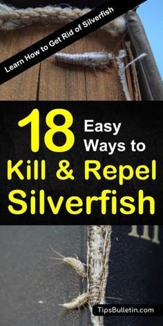 Get Rid Of Silverfish, Best Pest Control, Flea Prevention, Deep Cleaning Tips, Insect Control, Silver Fish, Diatomaceous Earth, Humming Bird Feeders, House Cleaning