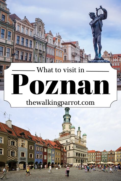 | Poznan, Poland | What to visit in Poznan | Where to go in Poznan | Poznan landmarks | Top Places in Poznan | Poznan attractions | Poland Travel Guide | Street Food in Poland | Poland travel | Poznan Poland | Poznan Poland things to do | where to go in Poland | Poland where to go | Poland Poznan, Poznan Poland, Poland Travel, The Perfect Day, Perfect Day, Where To Go, Day Trip, Street Food, Parrot