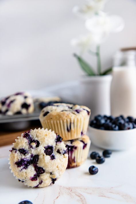 Vegan Blueberry Yogurt Muffins are incredibly soft and fluffy, and speckled with little bursts of fresh, juicy blueberries. #muffin #blueberrymuffins #vegan #eggfree #brunch Vegan Lemon Blueberry Muffins, Blueberry Yogurt Muffins, Greek Yogurt Muffins, Vegan Blueberry Muffins, Vegan Pumpkin Bread, Springtime Recipes, Blueberry Yogurt, Yogurt Muffins, German Baking