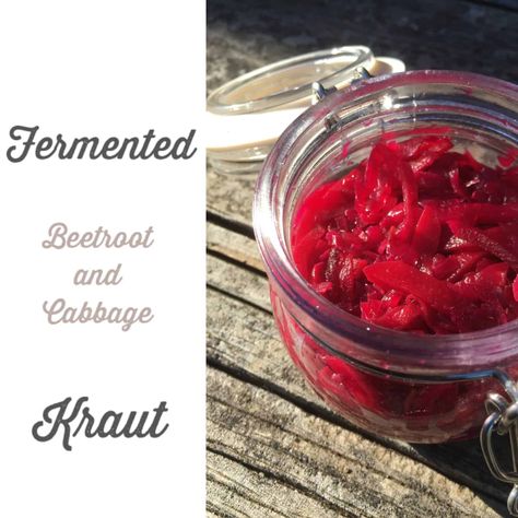 Fermented Beetroot and Cabbage Kraut Fermented Beetroot, Fermented Cabbage, Fermented Vegetables, Proper Diet, Beneficial Bacteria, Low Impact Workout, Fermented Foods, Taste Testing, Fermenting