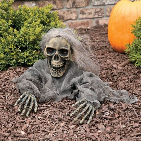 Grave Halloween, Animated Halloween Decorations, Pasteles Halloween, Scary Halloween Decorations Outdoor, Scary Halloween Decorations Diy, Halloween Skeleton Decorations, Fairy Halloween Costumes, Adornos Halloween, Halloween Yard Decorations