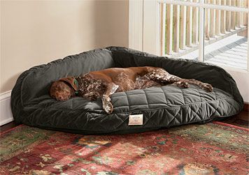 corner dog bed.  Oh my goodness my dogs would love this!  It could replace the make shift bed I made (with pillows and blankets) in the corner of our bedroom! Corner Dog Bed, Memory Foam Dog Bed, Dog Rooms, Dogs Of The World, Dog Houses, Diy Dog Stuff, Dog House, Pet Beds, Dog Care