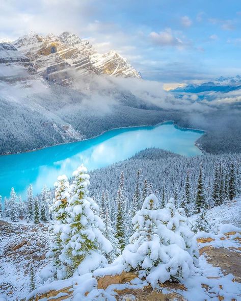 Winter Snow Photography, Nature Backgrounds Iphone, Experiential Art, Peyto Lake, Snow Photography, Snow Trip, Scenery Photography, Canada Destinations, Early Winter