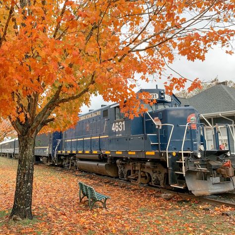 Fall Getaway in Blue Ridge, Georgia East Coast Travel Destinations, Georgia Fall, Blue Ridge Scenic Railway, Northern Georgia, Fall Weekend Getaway, Chattahoochee National Forest, Blue Ridge Georgia, Georgia Vacation, Blue Ridge Ga