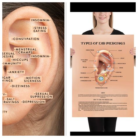 Ear Piercing Chart Impuria Ear Piercing Jewelry, Ear Piercing Benefit Chart, Ear Piercings Healing Time, Ear Piercing Healing Time Chart, Ear Piercings Placement Chart Society6, Ear Piercings Industrial, Unique Ear Piercings, Piercing Chart, Ear Piercings Chart