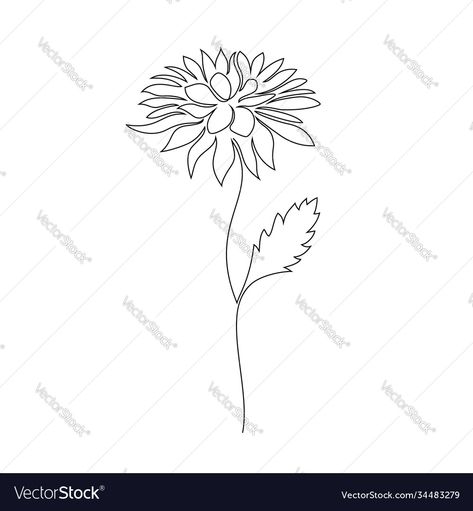 Chrysanthemum One Line Drawing, Chrysanthemum Line Drawing, Chrysanthemum Line Art, Tattoo Chrysanthemums, Flower On White Background, Chrysanthemum Tattoo, Birth Flower Tattoos, One Line Drawing, Flower Stencil