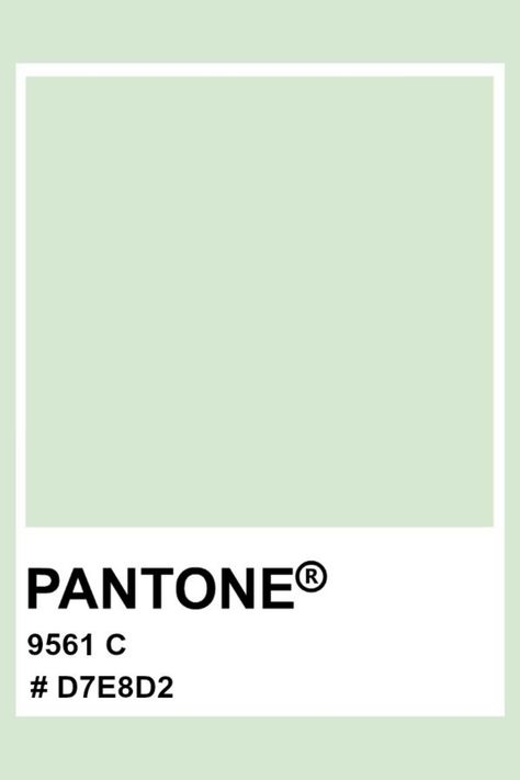 RGB : 215, 232, 210 CMYK : 7%, 0%, 9%, 9% Pastel Green Pantone, Pantone Pastel Colors, Pastel Green Stickers, Light Green Pantone, Pantone Green Colors, Pastel Pantone, Light Green Bedrooms, Pantone Green, Pantone Tcx