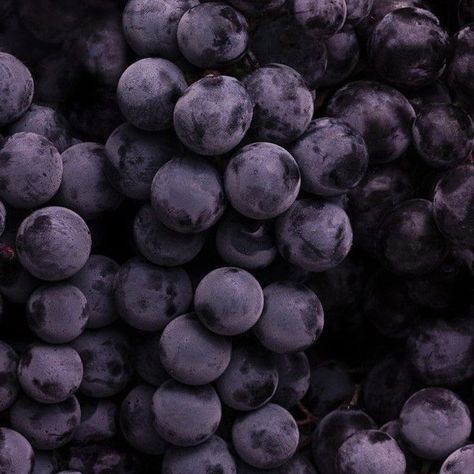 🍷 Purple Aesthetic Food, Fischl Aesthetic, Moody Food Photography, Purple Vibe, Photography Commercial, Lavender Aesthetic, Lavender Haze, Dark Purple Aesthetic, Mazzy Star