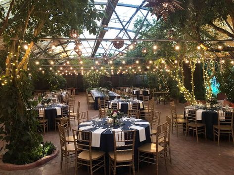 Hidden Garden Wedding, Az Wedding Venues, Arizona Wedding Ideas, Boojum Tree, Bc Wedding Venues, Boojum Tree Wedding, Wedding Venues Arizona, Arizona Wedding Venues Affordable, Arizona Wedding Venues Outdoor