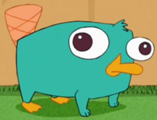 awww baby perry Parry The Platypus Drawing, Perry The Platypus Aesthetic, Parry The Platypus, Perry The Platypus Drawing, Perry Platypus, Phineas And Ferb Memes, Phineas E Ferb, Whatsapp Wallpapers Hd, Perry The Platypus