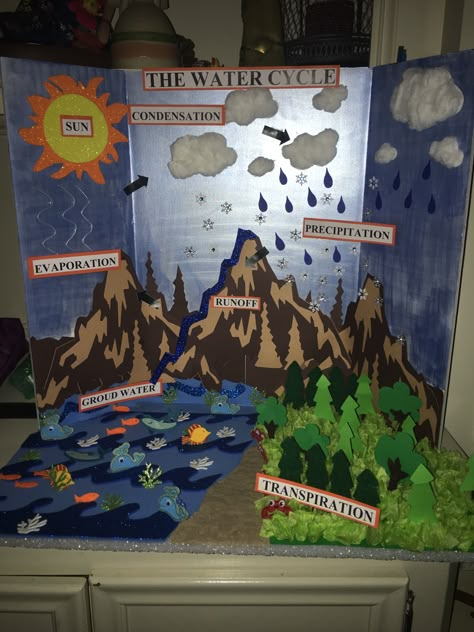 The Water Cycle Water Cycle Display, Water Cycle Science Project, Watercycle Kids Project, Water Cycle Model Projects, The Water Cycle Project, Water Cycle Project Models, Water Cycle Diorama, Water Cycle Craft, Water Cycle For Kids