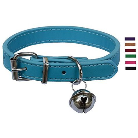 Turquoise Blue Leather Pet collars for Cats Puppy, Adjustable 8"-10.5" Kitten Collar with Bell >>> Learn more by visiting the image link. (This is an affiliate link) #Dogs Blue Cat Collar, Collar With Bell, Blue Dog Collar, Kitten Collar, Kitten Collars, Turquoise Leather, Cat Stuff, Dongguan, Blue Cats