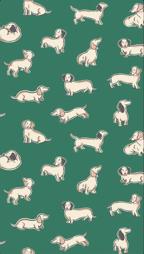 Dachshund Wallpaper, Cheetah Print Wallpaper, Cats And Puppies, Best Wallpaper Hd, Iconic Wallpaper, Print Iphone, Cats Iphone, Iphone Prints, Best Wallpaper