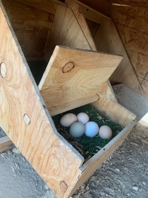 Chicken Coop And Chicken Run, Hen Laying Boxes Ideas, Chicken Layer Boxes, Roll Out Nesting Boxes Diy, Chicken Nesting Box Ideas, Nesting Boxes For Chickens, Chicken Laying Boxes, Nesting Boxes Diy, The Nester