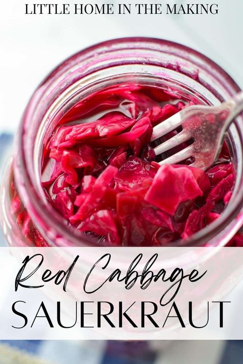 Fermented Red Cabbage, Red Cabbage Sauerkraut, Lacto Fermented, Sauerkraut Recipe, Fermenting Weights, Homemade Foods, Pickled Cabbage, Sauerkraut Recipes, Fermented Vegetables