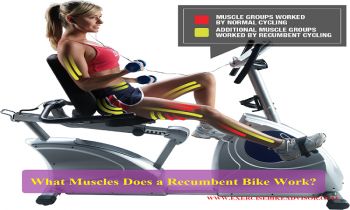 Recumbent Bike Benefits, Bike Benefits, Soleus Muscle, Lower Leg Muscles, Bike Exercise, Stationary Bicycle, Workout Fun, Cardiovascular Fitness, Hamstring Muscles