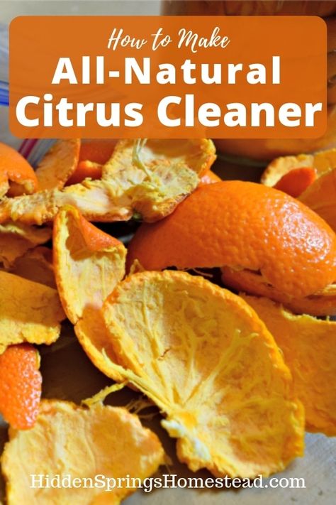 How to make Citrus Cleaner. Make your own homemade citrus cleaner for pennies. No chemicals or toxins - all natural homemade citrus cleaner. Mask Required, Citrus Cleaner, Sustainable Diy, All Natural Cleaners, Homemade Stuff, Natural Cleaning, Natural Cleaners, Wild Edibles, Cleaning Recipes