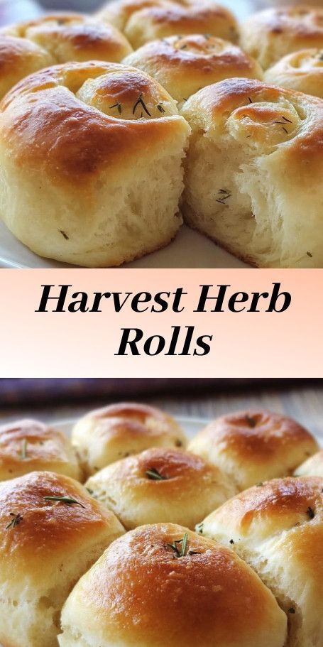 Harvest Herb Dinner Rolls recipe for a cozy autumn dinner. Made with seasonal herbs and perfect for fall meals. #HarvestRolls #SeasonalBaking #FallRecipes Herb Rolls Recipe, Thanksgiving Rolls Recipes, Herb Dinner Rolls, Herb Rolls, Thanksgiving Dinner Rolls, Cozy October, Fall Bread Recipes, Dinner Rolls Easy, Thanksgiving Rolls