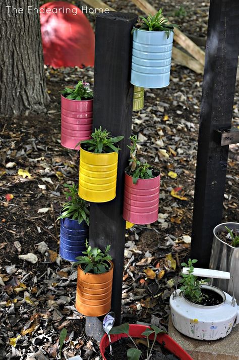 To add plants around the pool without having to add more flower beds to weed so I can spend more time in the pool! Use small ... pinned with Pinvolve - pinvolve.co Gardening Activities, Recycle Crafts Diy, Recycled Tin Cans, نباتات منزلية, Kids Garden, Plants Growing, Recycled Tin, Tin Can Crafts, School Garden