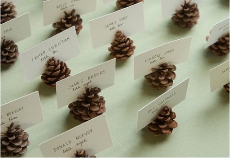 Pinecone table numbers, name cards - wedding daze Ideas Decoracion Navidad, Thanksgiving Place Cards, Wedding Card Holder, Diy Thanksgiving, Pine Cone Decorations, Cones Crafts, Seating Cards, Pine Cone Crafts, Pine Cone