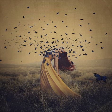 Brooke Shaden Photography, Brooke Shaden, Wild Women Sisterhood, Surreal Photos, Surrealism Photography, Conceptual Photography, Wild Woman, Foto Art, Birds Flying