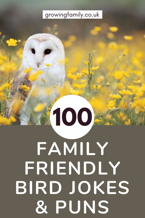 A bumper list of 100 family-friendly bird jokes and puns about birds to quack you up! They make great bird captions for instagram too. #growingfamily Bird Quotes Funny, Birding Quotes, Pumpkin Jokes, Kid Friendly Jokes, Garden Puns, Bird Puns, Jokes And Puns, Kids Jokes, Nature Craft