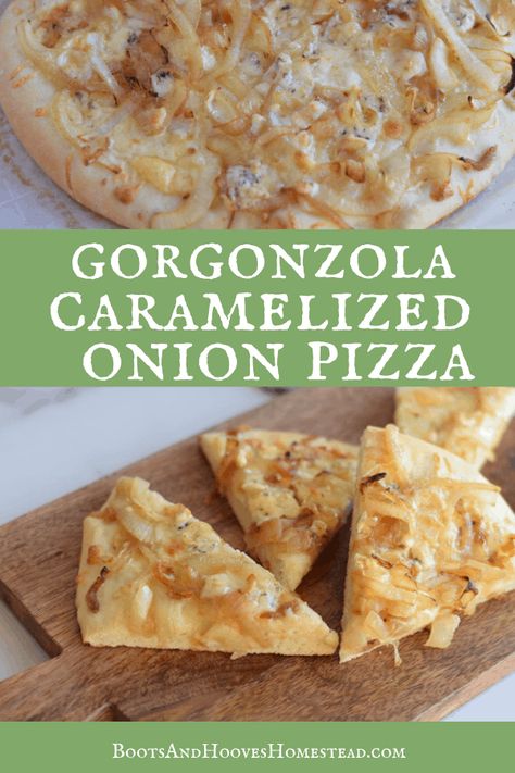 Homemade caramelized onion and gorgonzola pizza. Make this delicious pizza for your next family pizza night! This one is full so much goodness. Oh my! The sweet caramelized onions pairs perfectly with the slightly sweet and salty gorgonzola cheese. #pizza #italianrecipe #homemadepizza #comfortfood Pizza With Gorgonzola Cheese, Gorgonzola Pizza Recipes, Recipes With Gorgonzola Cheese, Gorgonzola Pizza, Caramelized Onion Pizza, Family Pizza Night, Homestead Recipes, Onion Pizza, Homestead Blog