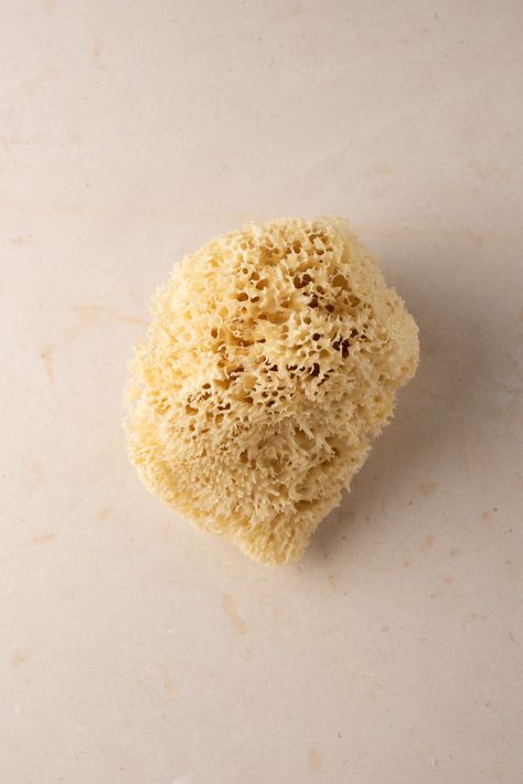 NATURAL SEA SPONGE Bath Bubbles, Natural Sea Sponge, Bath Sponges, Sea Sponge, How To Exfoliate Skin, Neck Massage, Save Earth, In The Ocean, Soft Texture