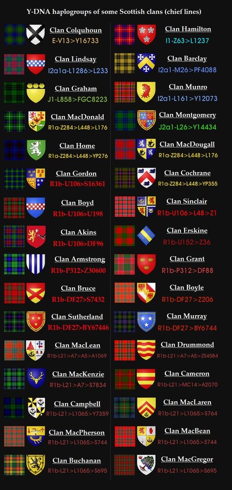 Scottish Aesthetic Wallpaper, Scottish Targe, Scottish Aesthetic, Clan Campbell, Scottish Crest, Campbell Clan, Scottish Flag, Scottish Women, Heraldry Design