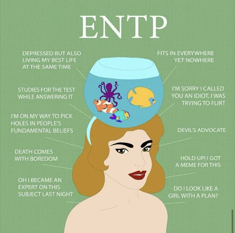 Entp Personality Traits, Entp Traits, Entp Personality Aesthetic, Female Entp, Entp 8w7, Entp Style, Entp Girl, Entp Female, Entp Aesthetic