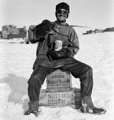 Terra Nova: A member of the team tucks into a tin of Heinz (Pic: Getty Images) Robert Falcon Scott, Roald Amundsen, Ross Island, Arctic Explorers, Heroic Age, Robert Scott, The Oregon Trail, Terra Nova, The Great White