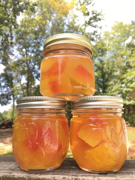 Watermelon Rind Preserve, Watermelon, Rind, Pickled, Southern, homemade, canning Watermelon Preserves Recipe, Preserve Watermelon, Watermelon Preserves, Watermelon Rind Preserves, Pickled Watermelon Rind Recipe, Watermelon Rind Recipes, Watermelon Jam, Pickled Watermelon Rind, Watermelon Pickles