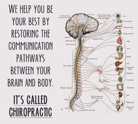 East Islip Chiropractor serving Babylon, Deer Park, West Islip, Bay Shore, Brightwaters, East Islip, Islip, Bohemia, Oakdale, Islip Terrace, Brentwood and Central Islip. Call 631-647-8324 or visit www.chiropractorislip.com to schedule an appointment TODAY! Chiropractic Humor, Chiropractic Benefits, Chiropractic Quotes, Chiropractic Marketing, Benefits Of Chiropractic Care, Chiropractic Clinic, Family Chiropractic, Chiropractic Wellness, Chiropractic Adjustment