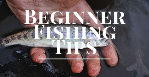 Read these basic fishing tips for beginners #fishing #fishingtips Fishing For Beginners, Fishing Rods And Reels, Fishing Guide, Types Of Fish, Going Fishing, Fishing Equipment, Fishing Tips, New Things To Learn, Beginners Guide