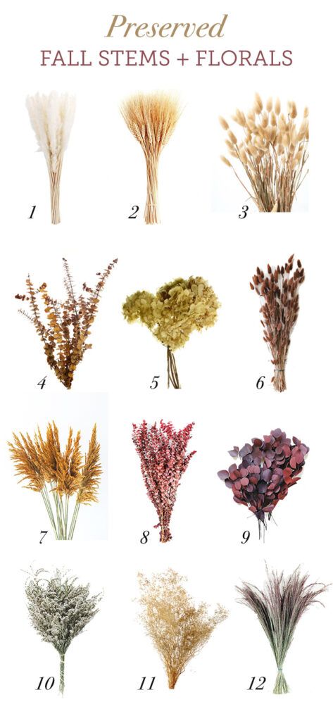 The best preserved Favorite Fall Stems + Florals Roundup Fall Florals Decor, Fall Dry Flower Arrangements, Fall Flowers Decorations, Fall Dried Florals, Fall Decor Floral, Dried Flowers Decoration Home Decor, Fall Florals Home Decor, Dried Stems Decor, Dried Fall Arrangements