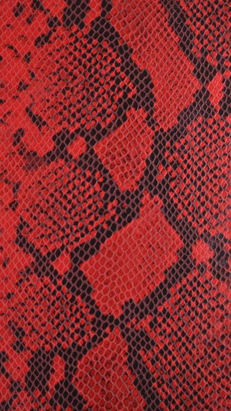 Red Aesthetic Grunge, Red Snake, Green Inspiration, Animal Print Wallpaper, Collage Background, Printed Backgrounds, Photo Wall Collage, Red Wallpaper, Animal Skin