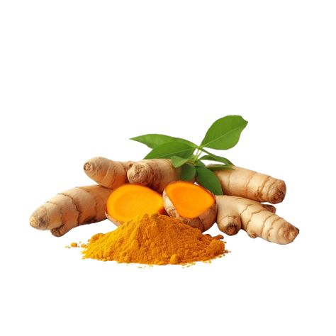 Ginger Turmeric Turmeric Aesthetic Photography, Turmeric Photography, Turmeric Powder Photography, Fresh Turmeric Root, Organic Turmeric Powder, Ginger Turmeric, Graphic Design Lessons, Background Design, Brand Logo