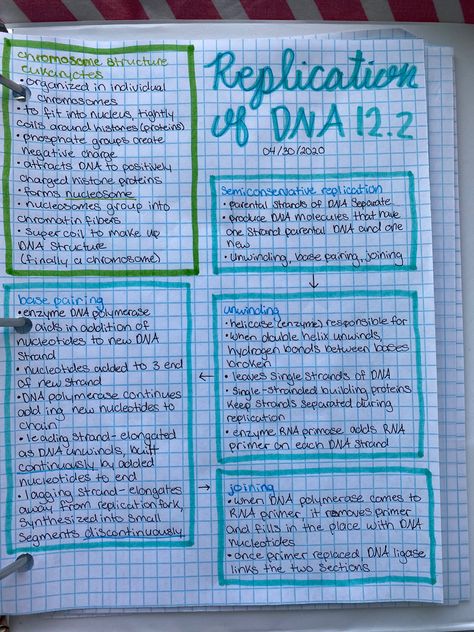 DNA, replication, biology, 12.2, science, education, school, notes, study, high school, middle school, freshman, sophomore, junior, senior, glencoe, semi conservative, base pairing, unwinding, joining Dna Study Notes, Life Science Grade 12 Notes, Freshman Math Notes, Life Sciences Study Notes Grade 12, Grade 11 Life Science Notes, Dna Notes Biology, Notes Ideas Biology, Dna Replication Notes, Biology Notes Ideas