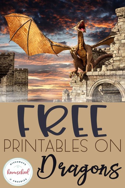 FREE Printables About Dragons - Homeschool Giveaways Free Dragon Printables, Dragon Classroom Theme, Dragon Classroom, Monsters Mythology, Dragon Printable, Dragons Lair, Steam Kids, Poetry Tea, Dragon Mythology