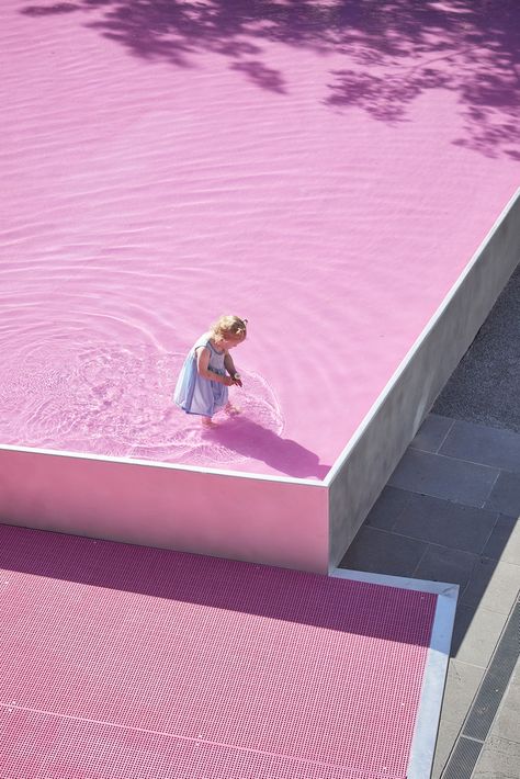 Gallery of Pink Pond / Taylor Knights + James Carey - 16 John Wardle, Temporary Architecture, Melbourne Architecture, Australian Wildflowers, Color Forecasting, Architectural Competition, Landscape Elements, Landscape Construction, Water Element