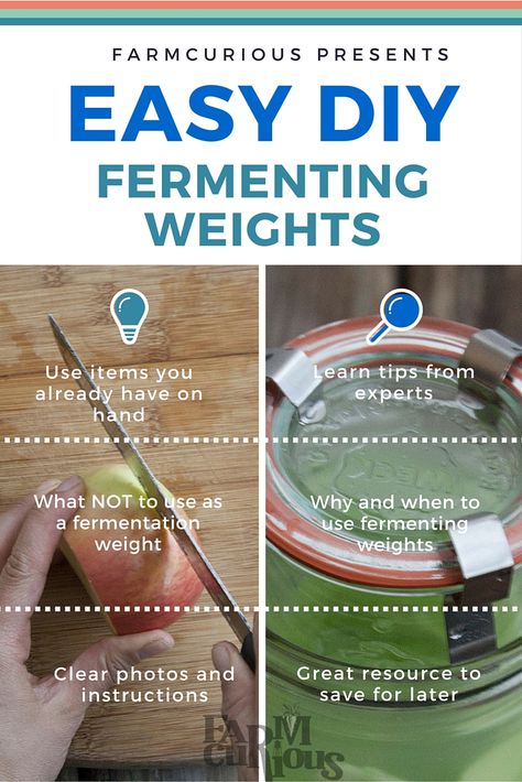 Diy Fermentation Weights, Fermentation Weights Diy, Weights At Home, Fermented Beverages, Fermented Recipes, Fermenting Foods, Make Sour Cream, Fermenting Weights, Fermented Veggies