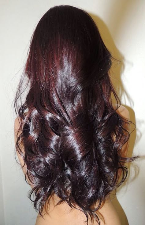 Dark red violet brown argon color Chocolate Cherry Hair Color, Pelo Color Borgoña, Pelo Color Vino, Cherry Hair Colors, Mahogany Hair, Hair Color Chocolate, Cherry Hair, Dark Red Hair, Trendy Hair Color