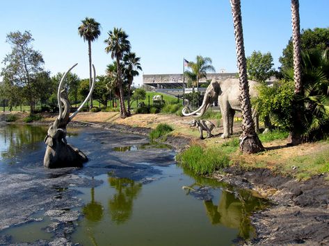 Los Angeles Day Trips, La Brea Tar Pits, California Camping, La Brea, Visit California, Free Things To Do, Camping Experience, Field Trip, Natural Wonders