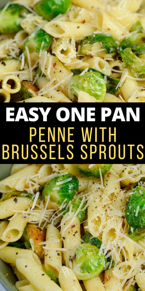 This five ingredient Penne with Brussels Sprouts and Parmesan is swimming in a rich brown butter sauce. The perfect vegetarian meal or quick and easy side dish!  #pasta Brussel Sprouts And Pasta, Chicken Brussel Sprouts Pasta, Brussel Sprouts With Pasta, Brussels Sprouts And Pasta, Dinner Ideas With Brussel Sprouts, Brussels Sprout Pasta, Brussel Sprout Pasta Recipes, Brussel Sprout Dinner Recipes, Pasta Brussel Sprouts