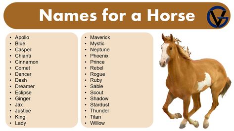 Horses Names List, Western Horse Names List, Blue Roan Horse Names, Cute Names For Horses, Cool Horse Names, Horse Valley Outfit Codes, Horse Names Ideas, Sims 4 Horse Stable, Sims 4 Stable