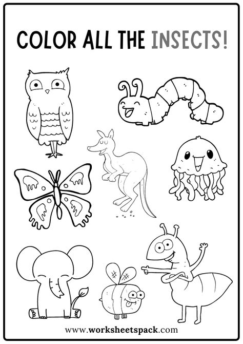 Color All the Insects Worksheet, Free Insects Coloring Book PDF - Printable and Online Worksheets Pack Insects Kindergarten, Chibi Coloring, Summer Insects, Mixing Primary Colors, Insect Coloring Pages, Alphabet Crafts Preschool, Insects Preschool, Bug Coloring Pages, Insects Theme