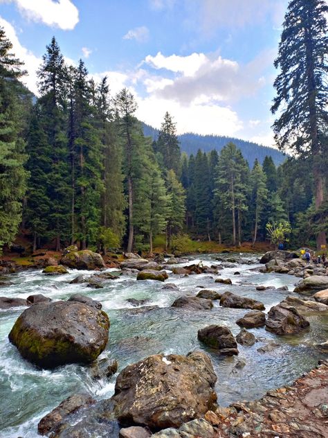 #kashmirdiaries #kashmir #nature #trending #landscape #kashmir #stream #river #nature #naturetrail #pinetrees #lidderriver #pahalgam #india Kashmir Landscape, Pahalgam Kashmir, Beautiful Views Nature, Kashmir India, Study Flashcards, Forest Photos, River Photography, Pretty Landscapes, Beautiful Places On Earth